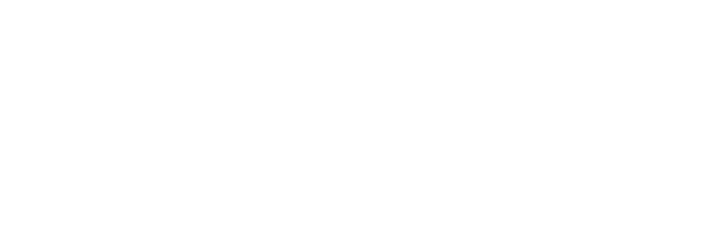 Orelle Sports 3000